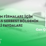 Yazılım Firmalar İçin İhtisas Serbest Bölgenin Önemli Faydaları