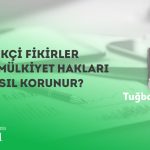 Yenilikçi Fikirler Fikri Mülkiyet Hakları İle Nasıl Korunur ?